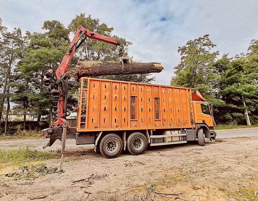 Wywoz galezi karp trawy lisci transport drewna