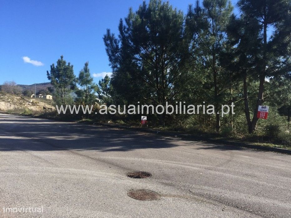 Lote Industrial - Monsul