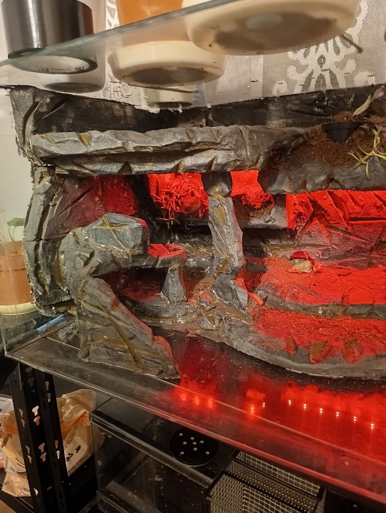 Ścianki do terrarium