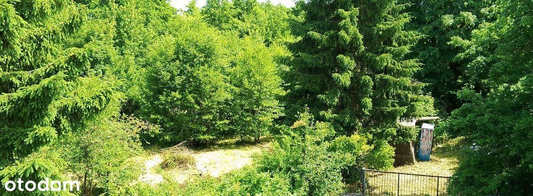Wyspa Wikingów – Twoje Miejsce na Relaks! Raty 0%