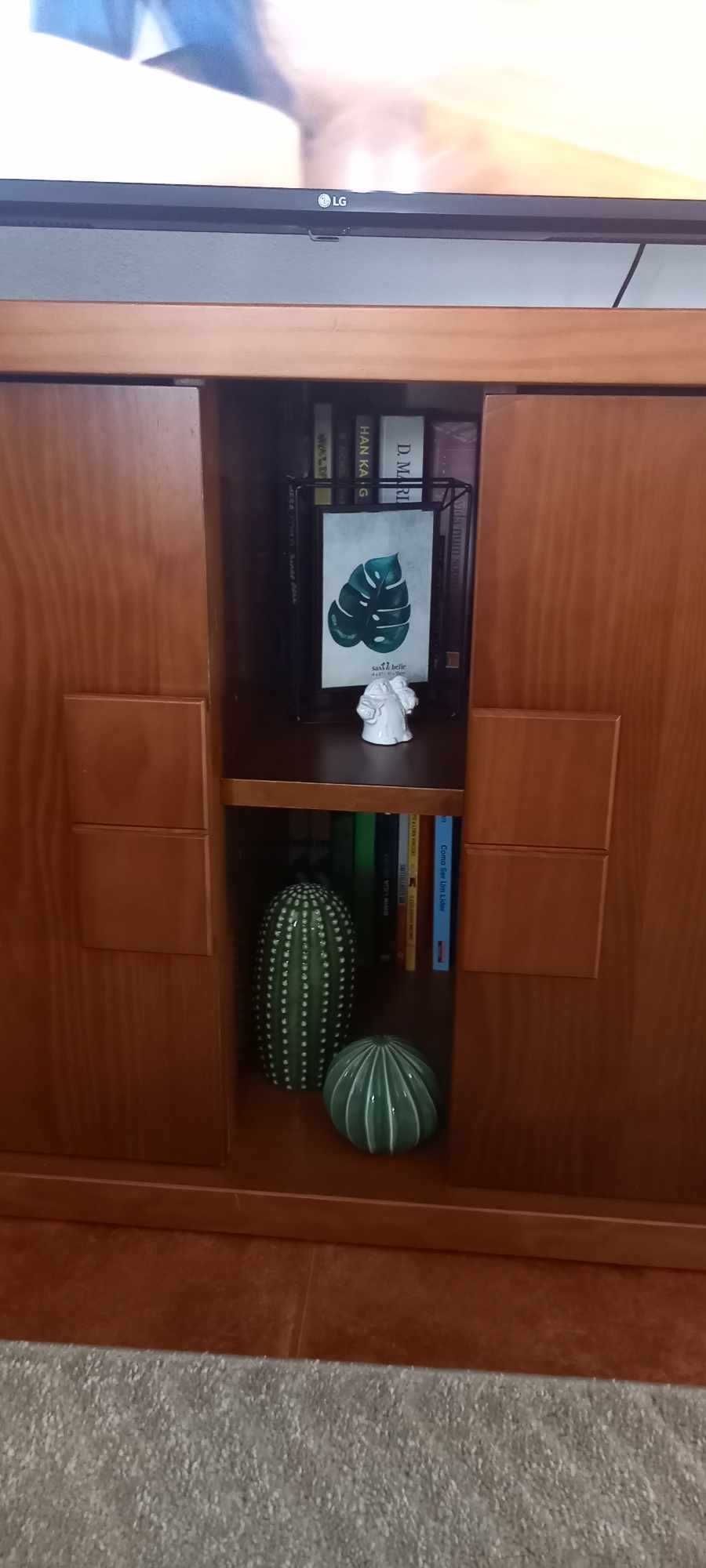 Armário TV (com arrumação)