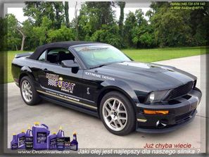 Olej Mustang USA Dedykowany - Royal Purple USA