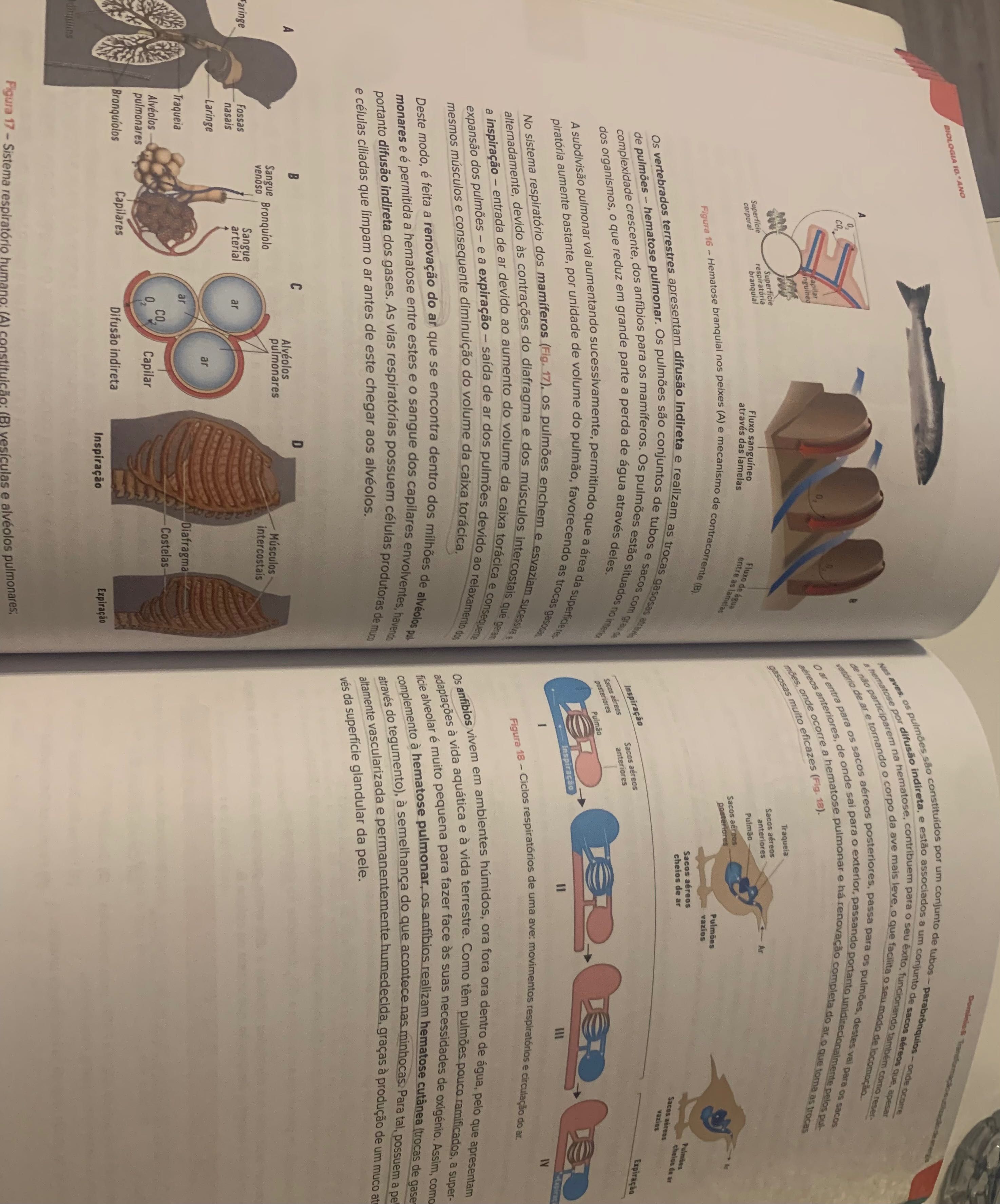 Livro preparação exame biologia e geologia