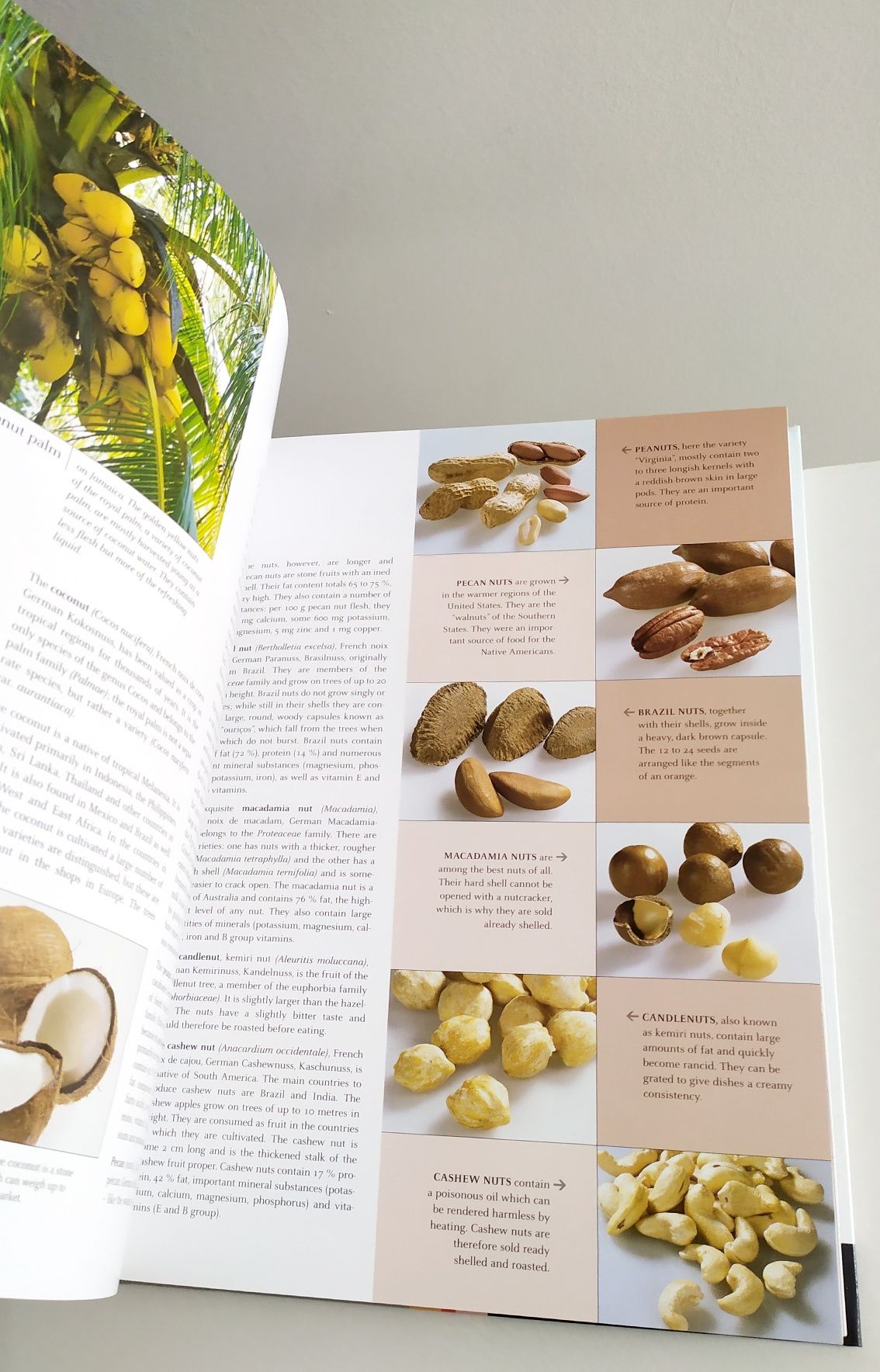 ENGLISH Book Fruit and Vegetables Христиан Тойбнер Фрукты Овощи Травы