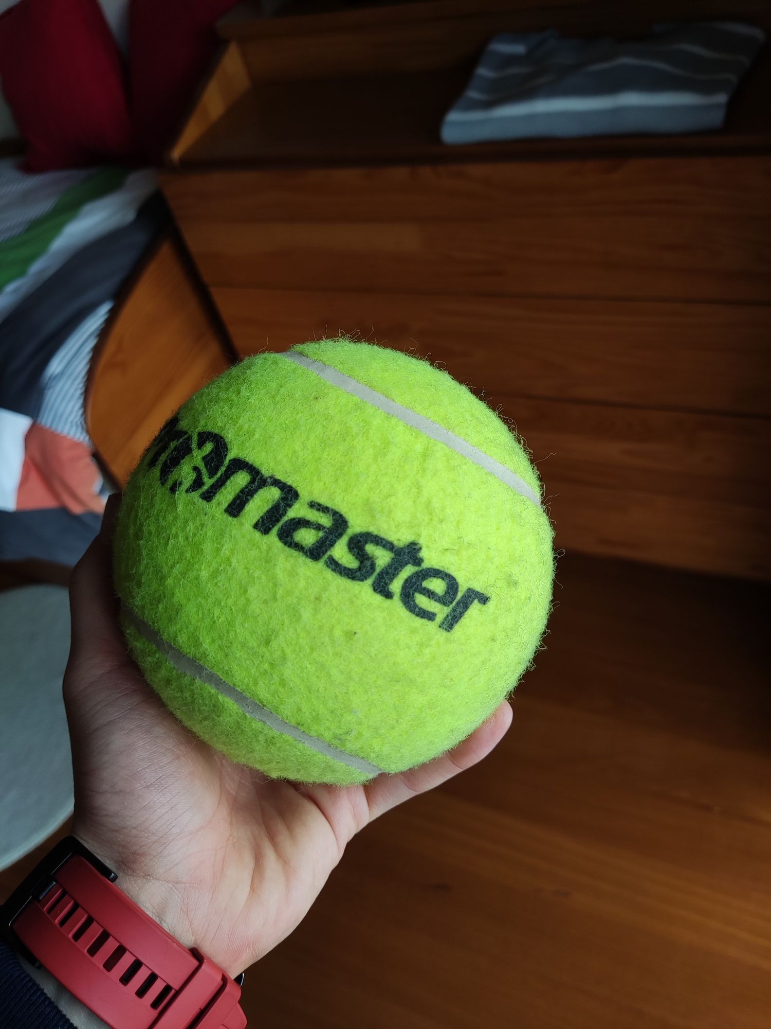 Bola Promaster (tamanho superior à de tenis)