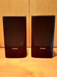 Colunas Pioneer vintage