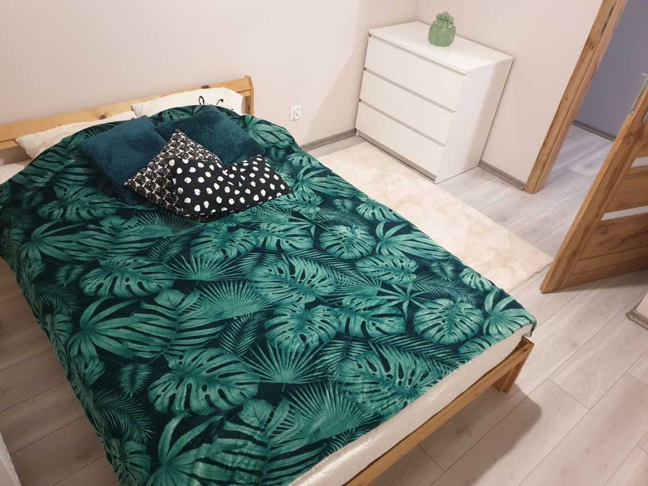 Mieszkanie do wynajęcia