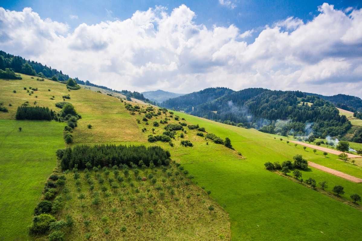 Badanie gruntu pod budynek oczyszczalnię geologiczne geotechniczne