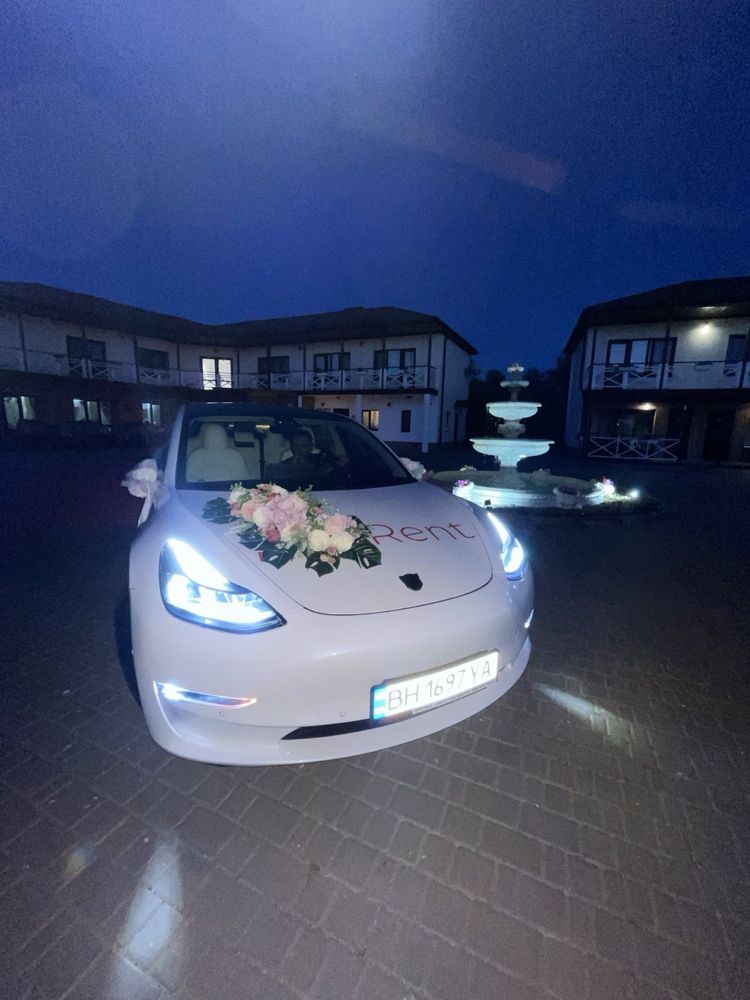 Аренда Tesla Model 3 2019г.