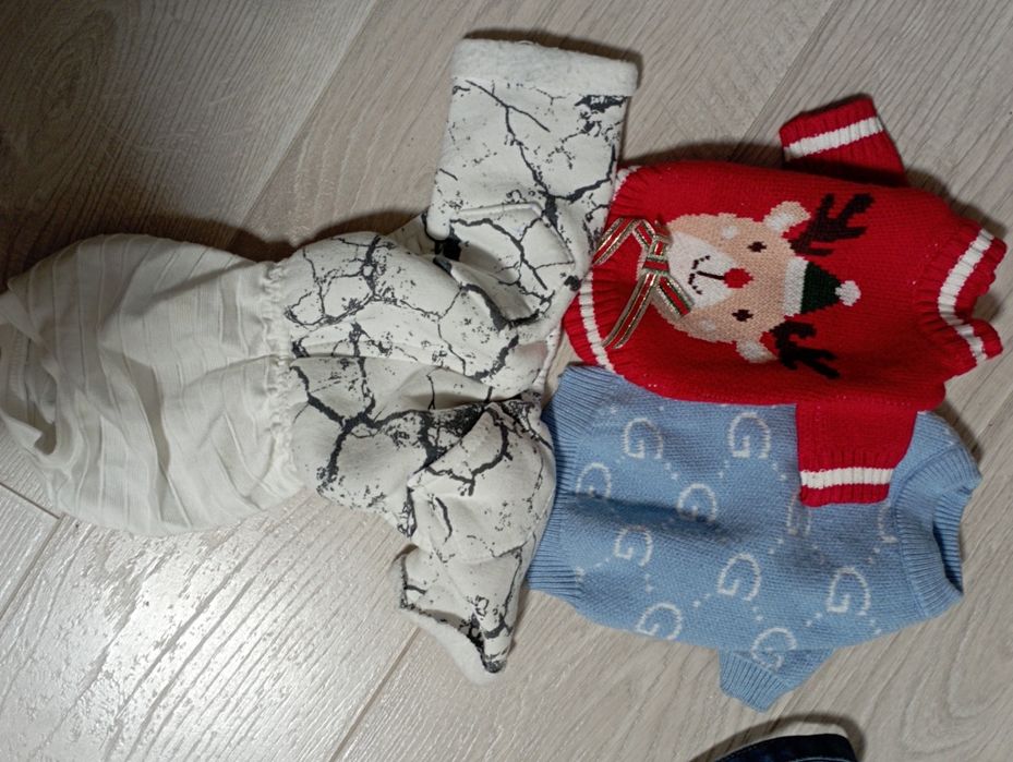 Пакет речей для малого песика