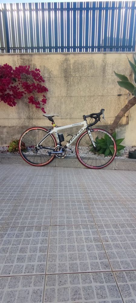 Goka bicicleta carbono