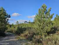 Pinhal com 8, 280 m2