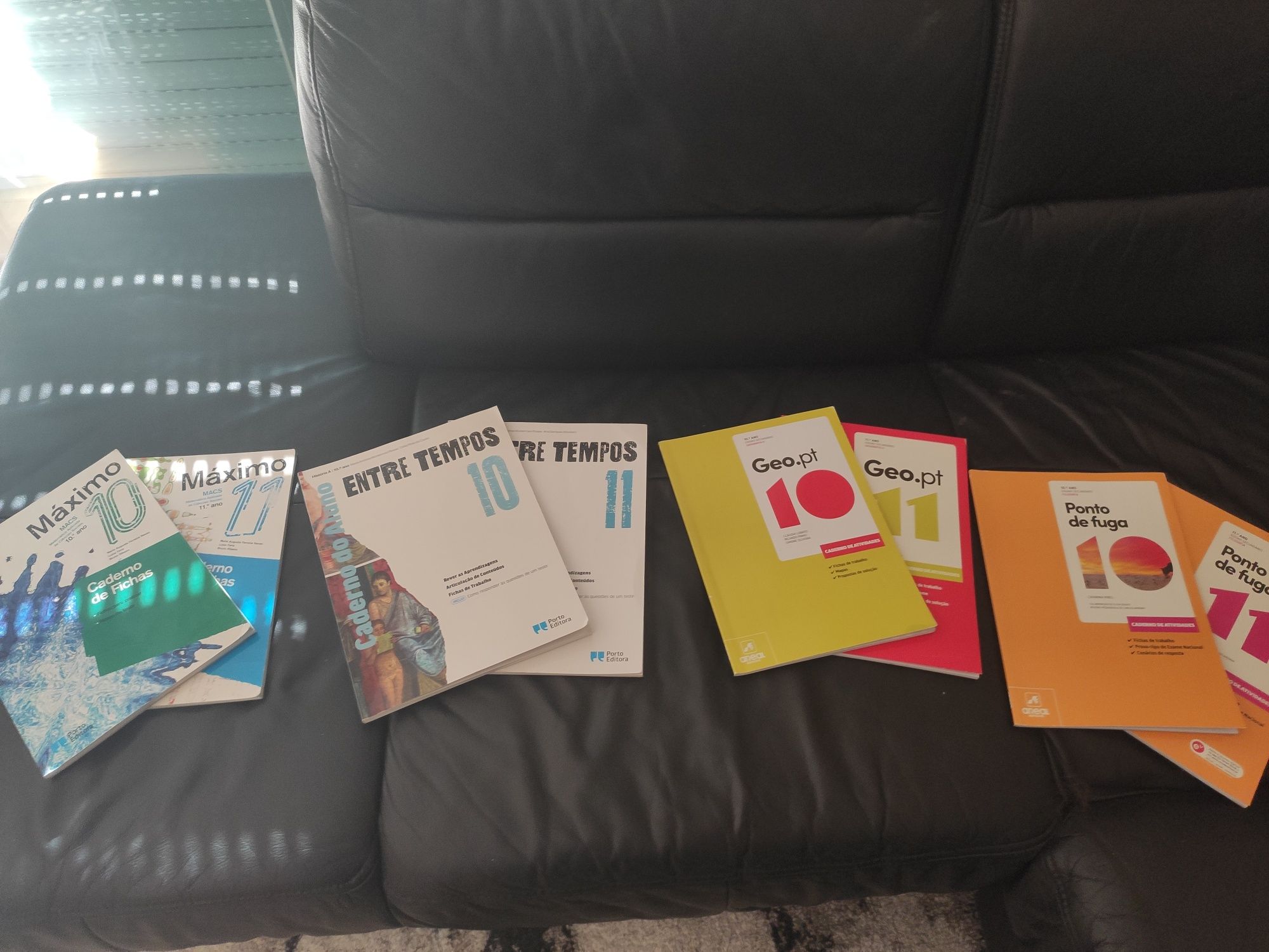 Livros de fichas de 10°/11°