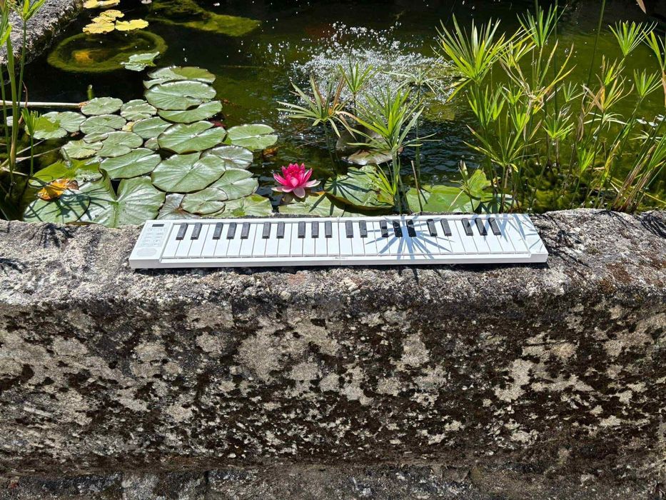 Piano portátil carry on