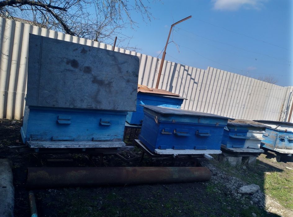 Продам вулики лежаки, дадани, б/у, ульи, улей, улики, улик
