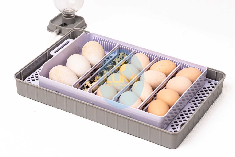 INKUBATOR AUTOMATYCZNY LUMI na 20 jaj klujnik wylęgarka +akcesoria