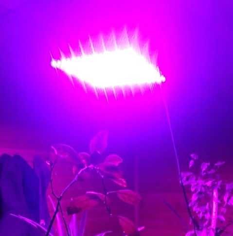 LED Фітолампа Для Рослин (Фіто Гроубокс Розсади Квітів Мікрозелень)