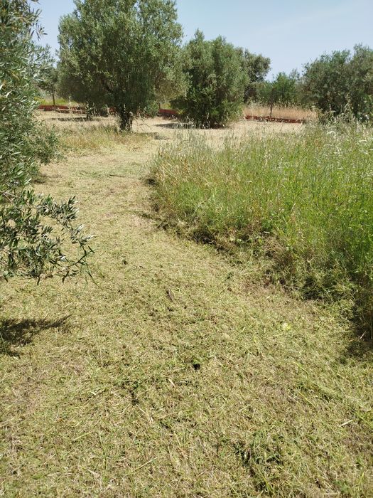 Limpeza de terrenos e jardins