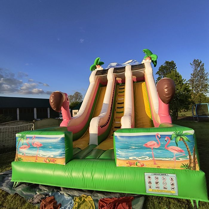 Wynajem dmuchańce basen wodny zjeżdżalnie Piana party Miś 2,6m domek