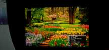 Monitor Eizo cg 247x