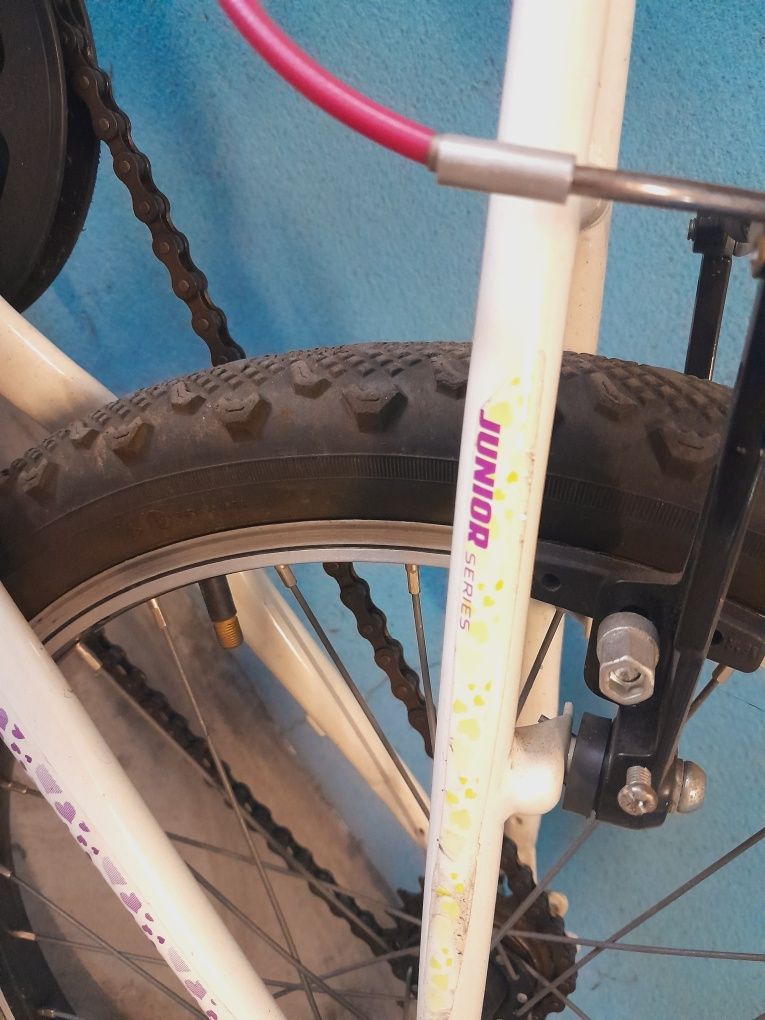 Bicicleta Berg junior