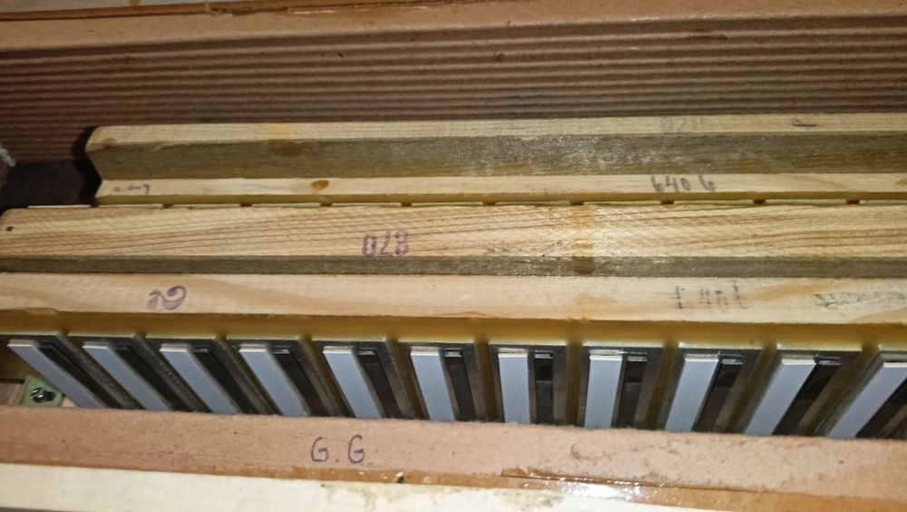 Akordeon Hohner Tango V 120bas Kanciak po remoncie, perełka, nowe pasy