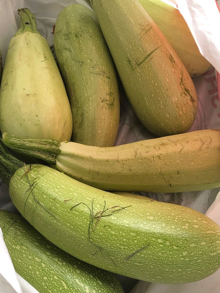 Продаю домашні кабачки