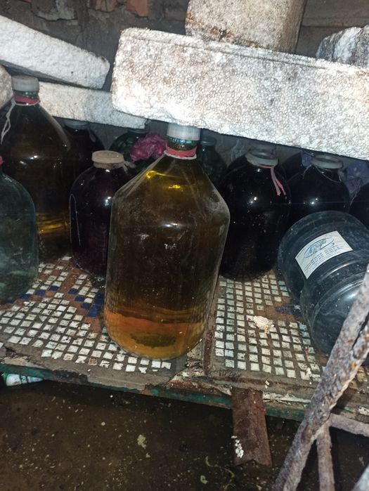 Дам в оренду  інструменти.