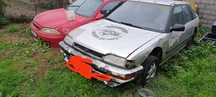 Honda concerto do mato