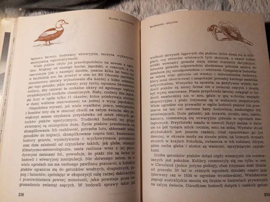 Ogrody zoologiczne - wczoraj, dziś, jutro - Karol Łukaszewicz