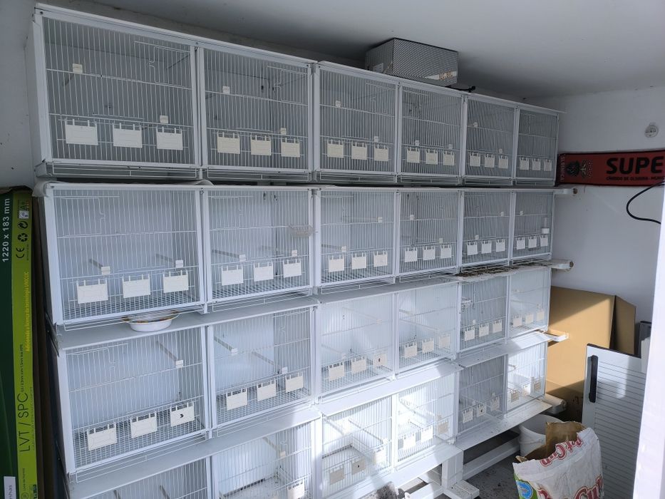 Viveiro para pássaros