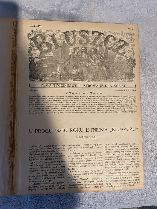 Czasopismo Bluszcz cały rocznik 1925