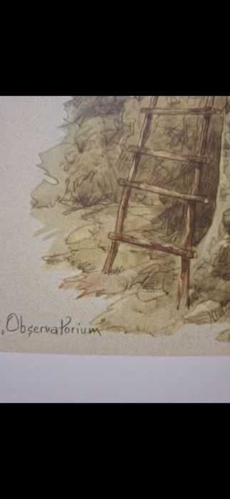 H.Geilfus "obserwatorium" myśliwska litografiaia