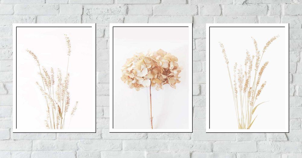 30x40 obrazy w ramie plakaty ramka ŁĄKA KWIATY PAMPAS NATURA BOHO