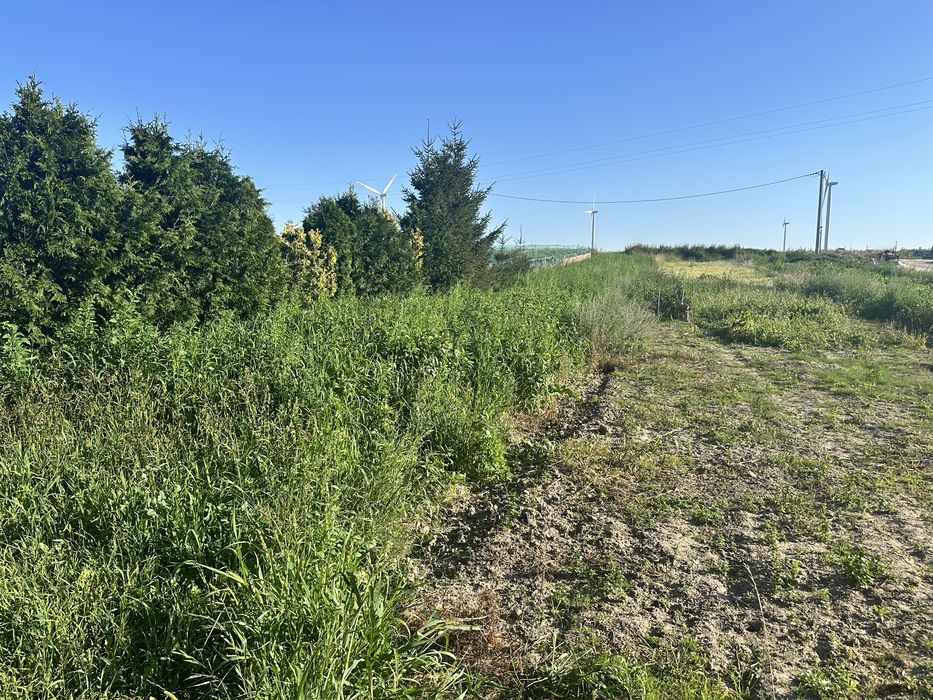 Mieszkanie dwupokojowe z dużym ogrodem