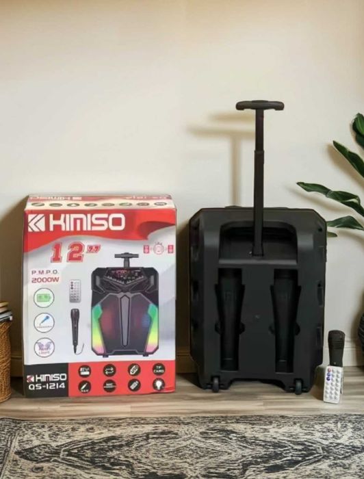 Колонка чемодан 12 дюймів з мікрофоном і діджейським світлом