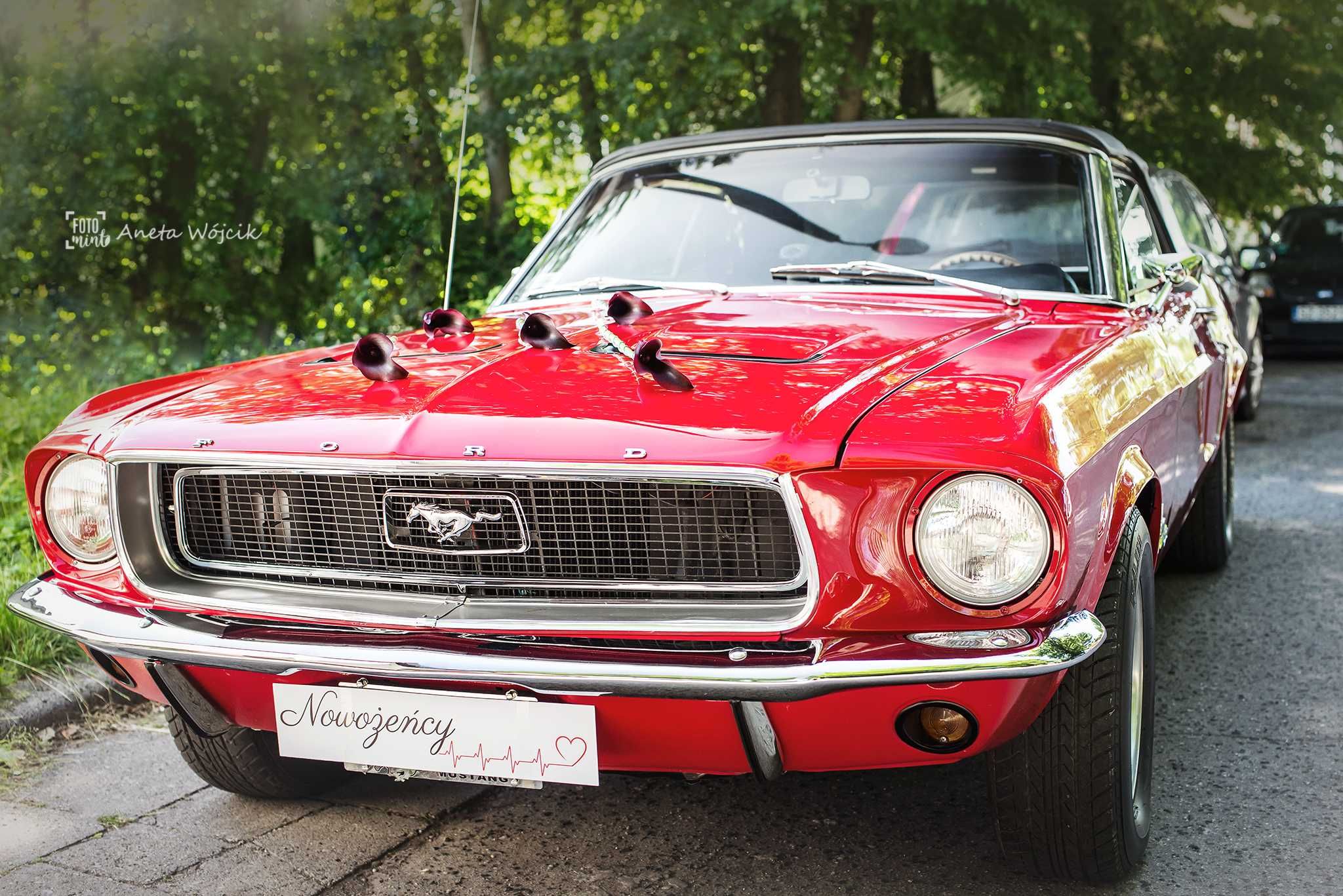 Ford Mustang do ślubu / samochód / kabriolet / klasyk / cabriolet