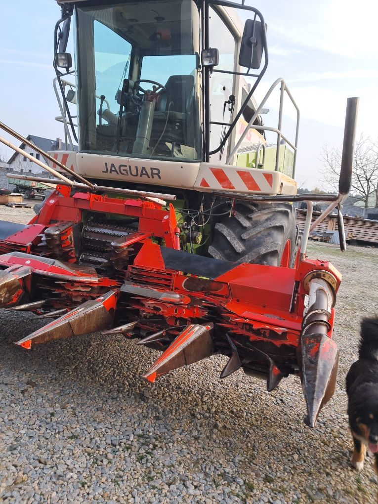 Sieczkarnia Claas Jaguar 830