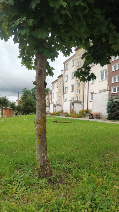 Przestronne 3-pokojowe mieszkanie ul. Wolności, Pieniężno
