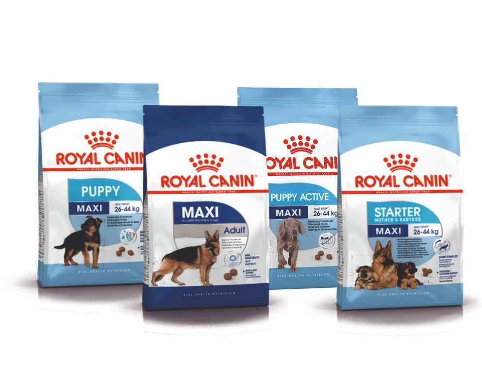 Royal Canin MAXI - Starter, Puppy & Adult 15+5kg - PORTES GRÁTIS