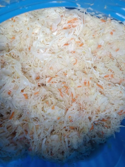 Kapusta kiszona sprzedam