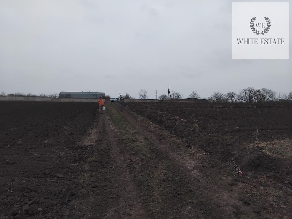 Продаж земельної ділянки с.Плотича