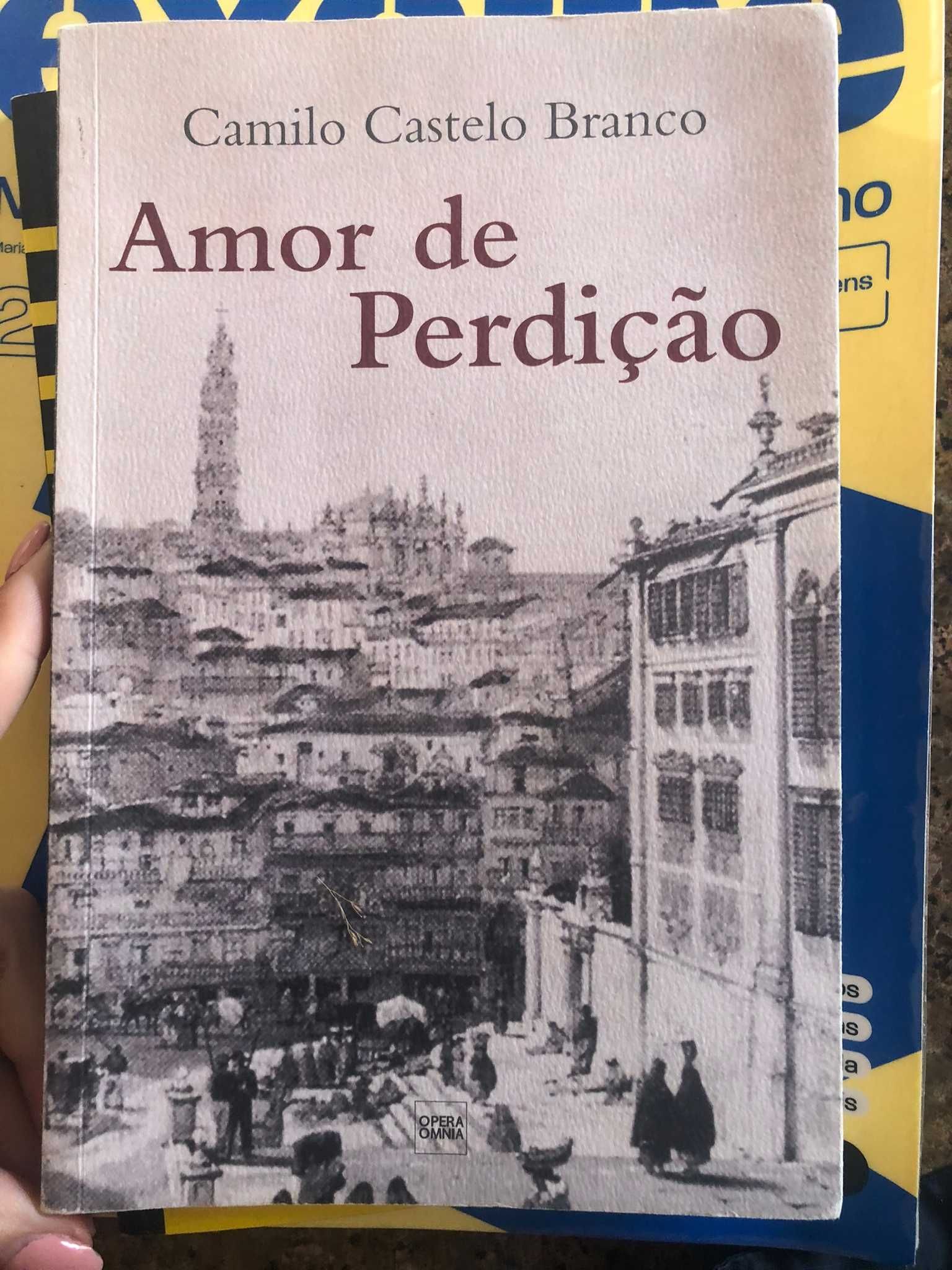 Livro Amor de Perdição