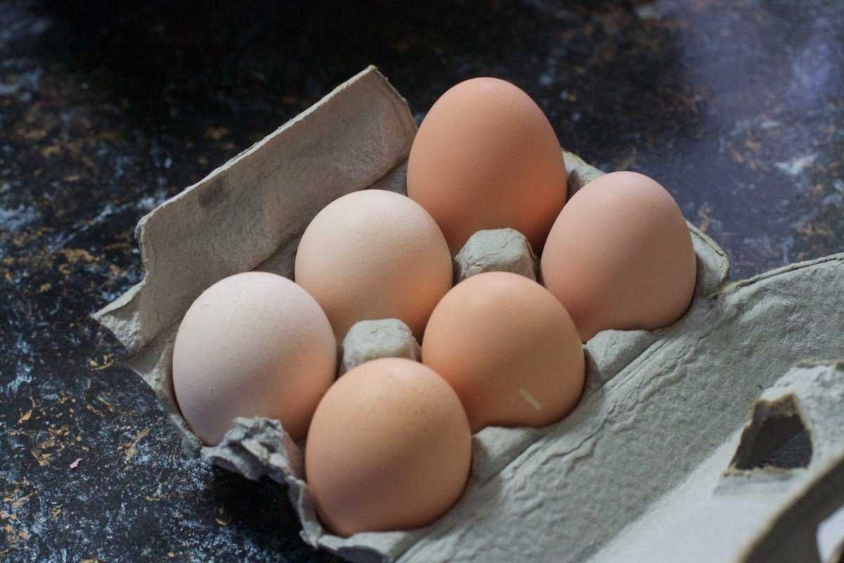 Домашні курячі яйця / завжди свіжі