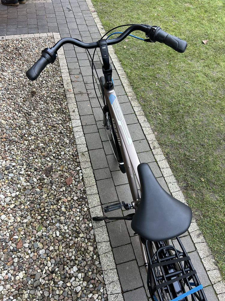 Rower Gazelle Chamonix C7