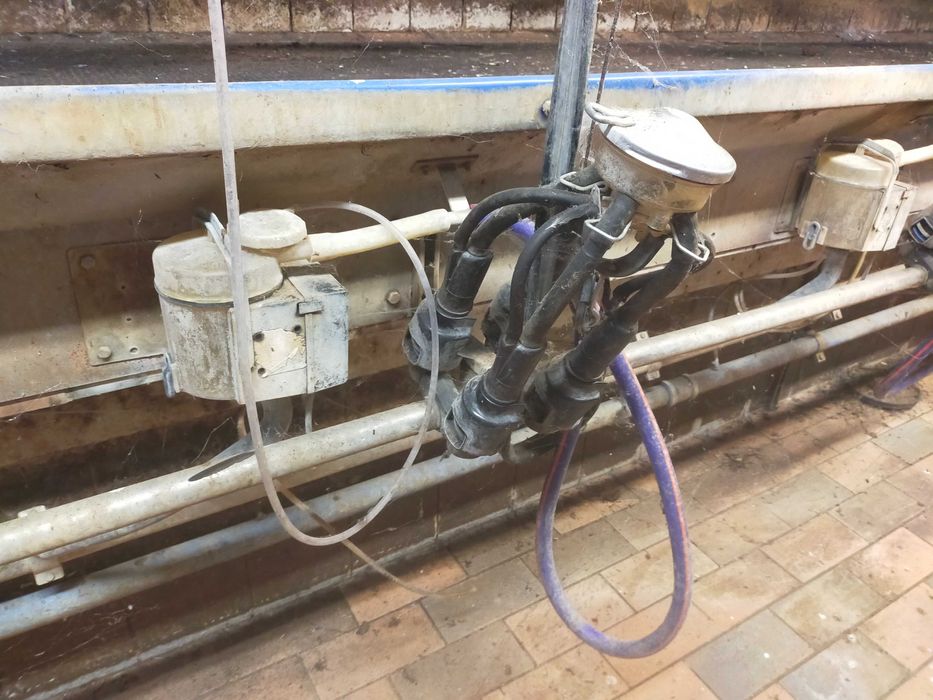 Hala udojowa Alfa Laval 2x7 dla bydła