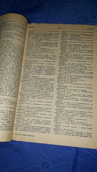 Wielki słownik polsko-niemiecki tom 1i2