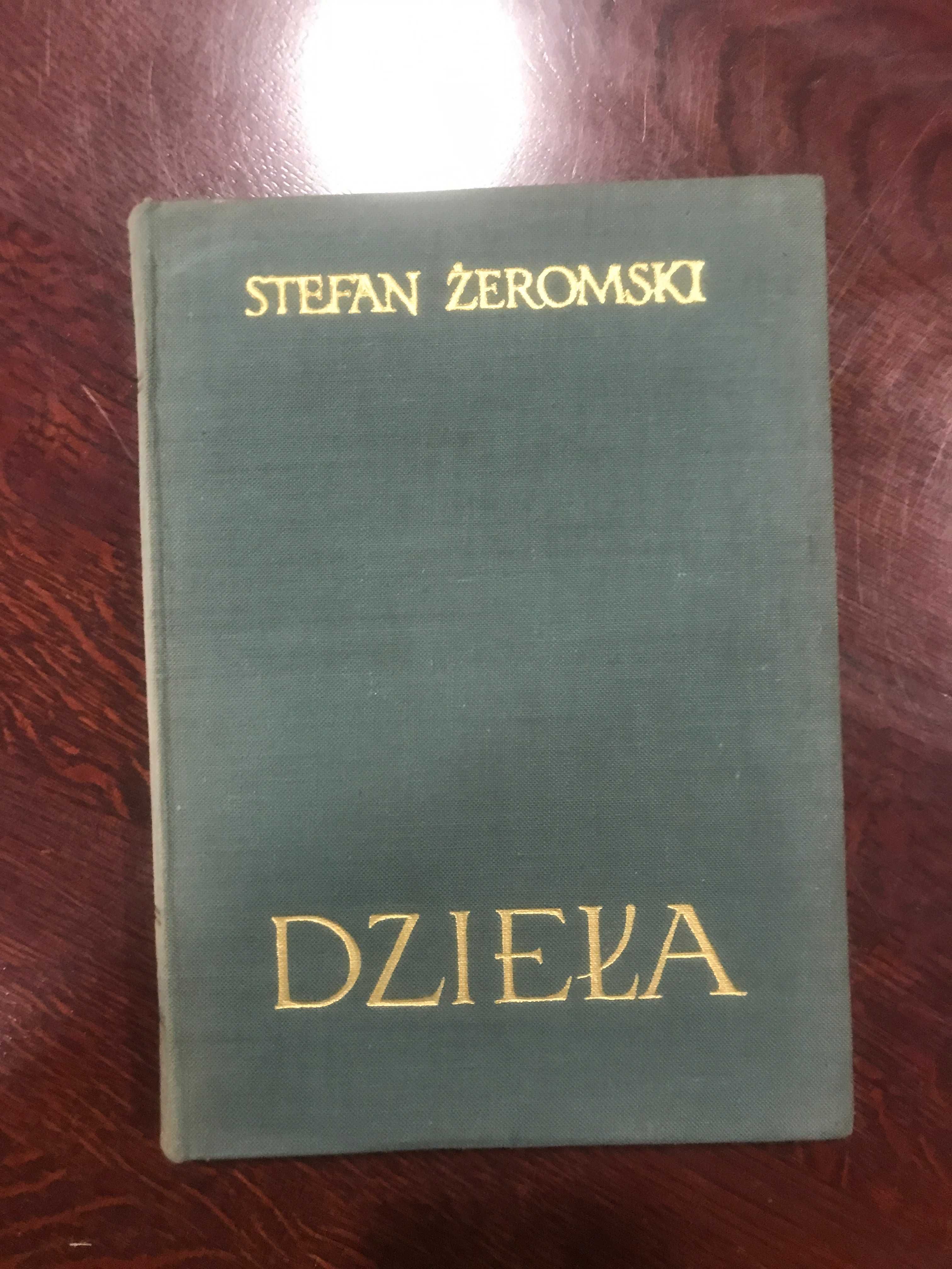 Róża. Dramat niesceniczny Stefan Żeromski