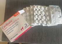 Cardisure 10 mg flavored