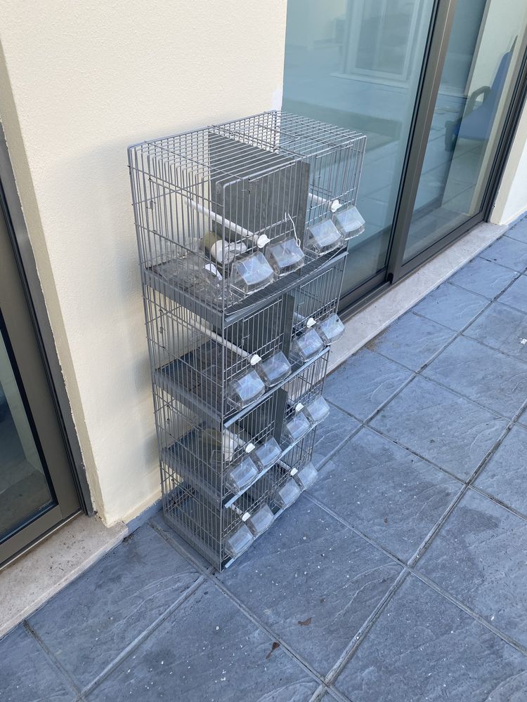 Gaiola para aves